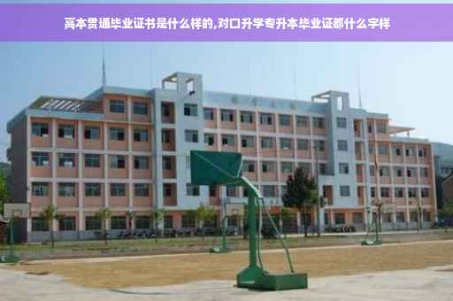 高本贯通毕业证书是什么样的,对口升学专升本毕业证都什么字样