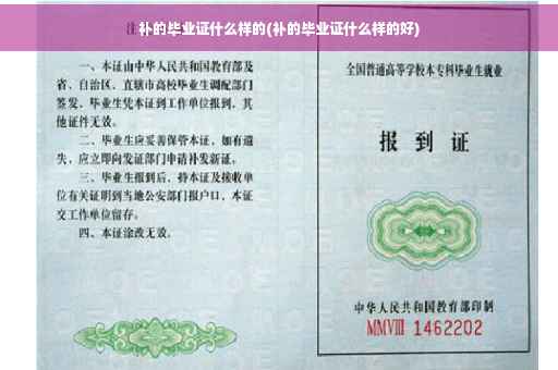 补的毕业证什么样的(补的毕业证什么样的好)