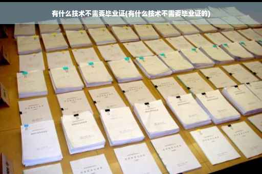 有什么技术不需要毕业证(有什么技术不需要毕业证的)