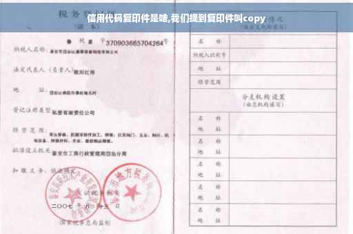 信用代码复印件是啥,我们提到复印件叫copy