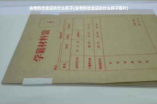 自考的毕业证长什么样子(自考的毕业证长什么样子图片)