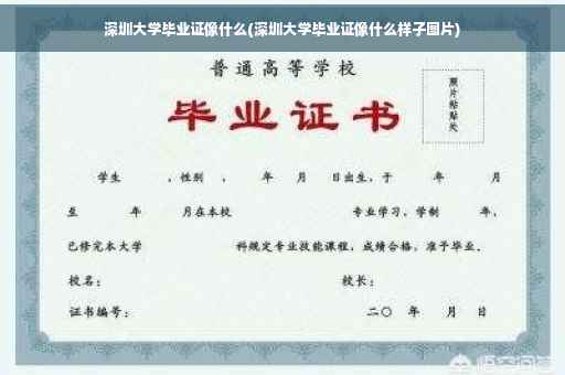 深圳大学毕业证像什么(深圳大学毕业证像什么样子图片)
