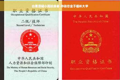 白鹿原杨小雨扮演者-孙铱毕业于哪所大学