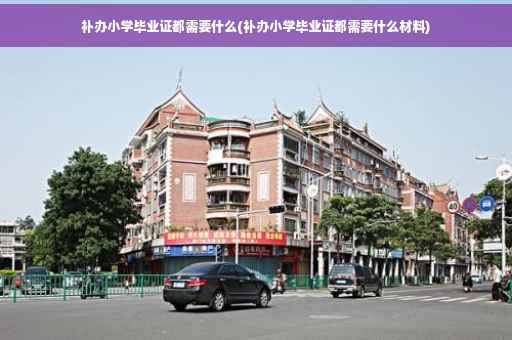 补办小学毕业证都需要什么(补办小学毕业证都需要什么材料)