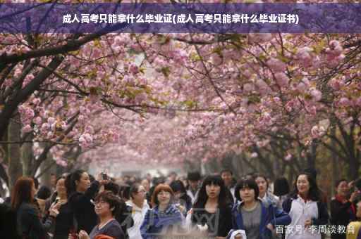 成人高考只能拿什么毕业证(成人高考只能拿什么毕业证书)