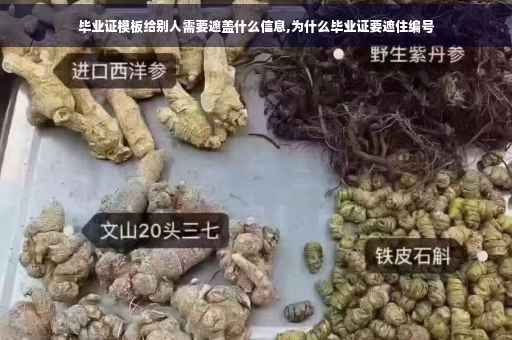 毕业证模板给别人需要遮盖什么信息,为什么毕业证要遮住编号