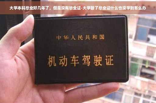 大学本科毕业好几年了，但是没有毕业证-大学除了毕业证什么也没学到怎么办