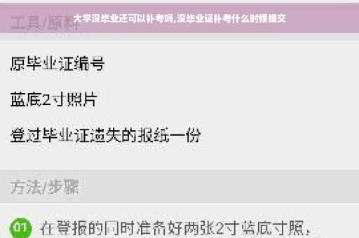 大学没毕业还可以补考吗,没毕业证补考什么时候提交