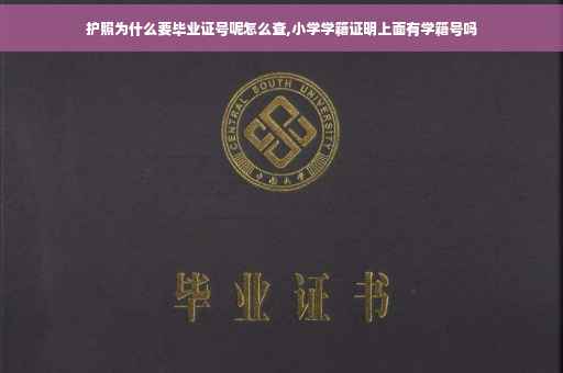 护照为什么要毕业证号呢怎么查,小学学籍证明上面有学籍号吗