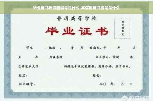 毕业证书教留服编号是什么,学信网证书编号是什么