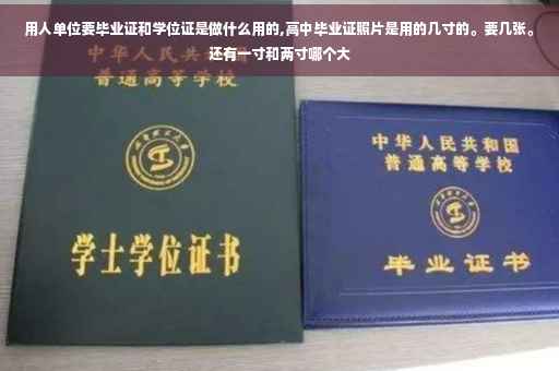 用人单位要毕业证和学位证是做什么用的,高中毕业证照片是用的几寸的。要几张。还有一寸和两寸哪个大