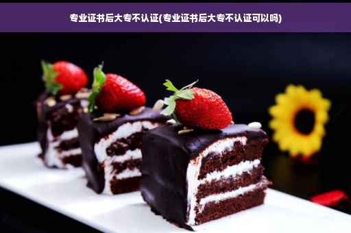 专业证书后大专不认证(专业证书后大专不认证可以吗)