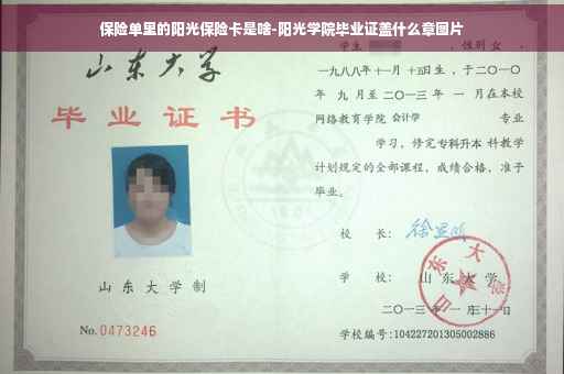 保险单里的阳光保险卡是啥-阳光学院毕业证盖什么章图片