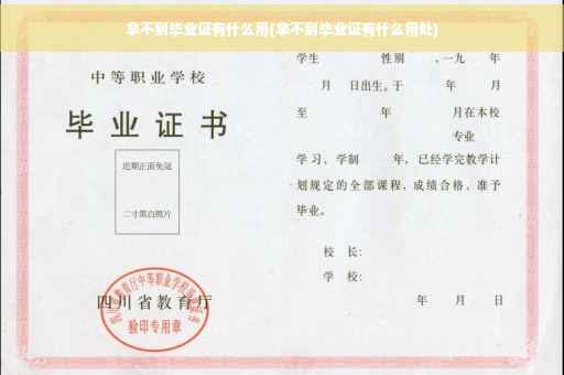 拿不到毕业证有什么用(拿不到毕业证有什么用处)