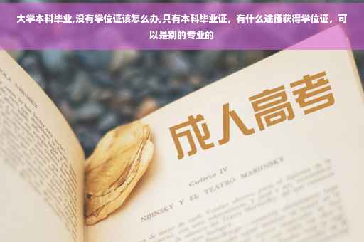 大学本科毕业,没有学位证该怎么办,只有本科毕业证，有什么途径获得学位证，可以是别的专业的