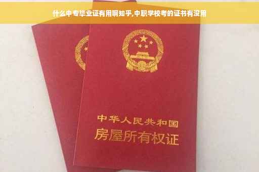 什么中专毕业证有用啊知乎,中职学校考的证书有没用