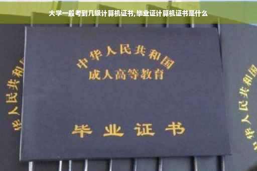 大学一般考到几级计算机证书,毕业证计算机证书是什么