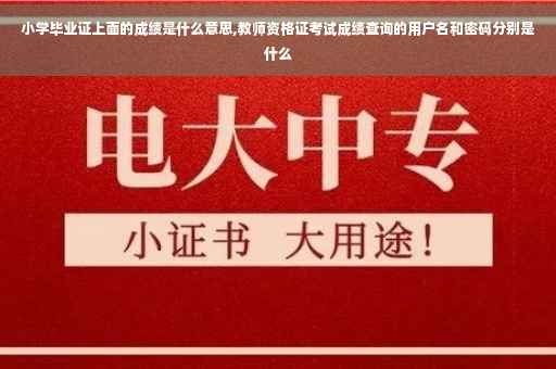 小学毕业证上面的成绩是什么意思,教师资格证考试成绩查询的用户名和密码分别是什么
