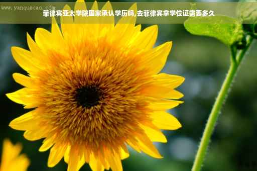 菲律宾亚太学院国家承认学历吗,去菲律宾拿学位证需要多久