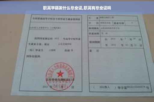 职高学籍发什么毕业证,职高有毕业证吗