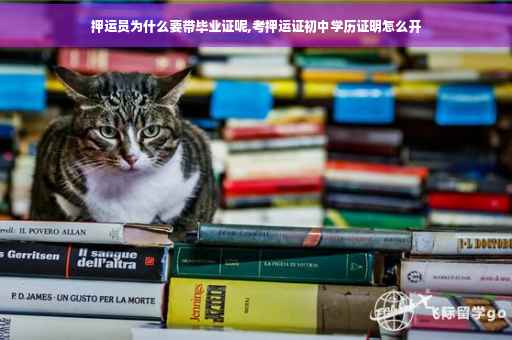 押运员为什么要带毕业证呢,考押运证初中学历证明怎么开