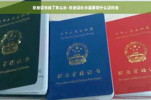 毕业证书掉了怎么补-毕业证补办需要带什么证件去