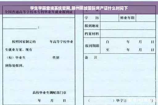 学生学籍查询系统官网,滕州熙城国际房产证什么时间下