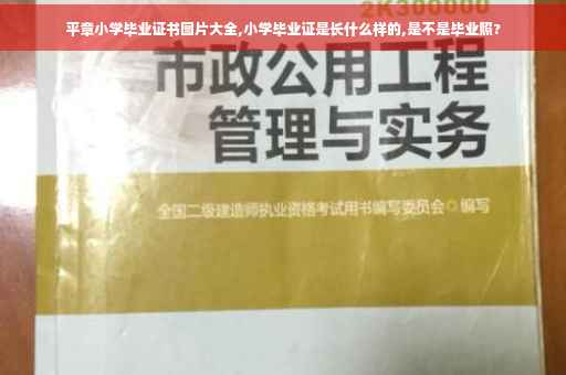 平章小学毕业证书图片大全,小学毕业证是长什么样的,是不是毕业照?