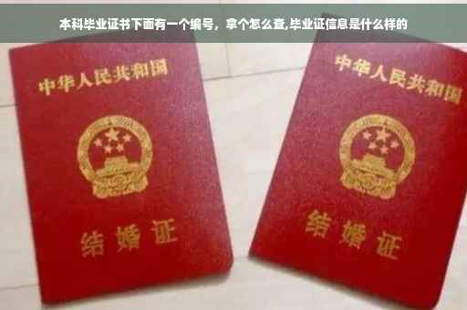 本科毕业证书下面有一个编号，拿个怎么查,毕业证信息是什么样的