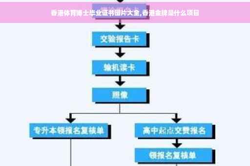 香港体育博士毕业证书图片大全,香港金牌是什么项目