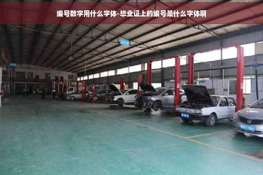 编号数字用什么字体-毕业证上的编号是什么字体啊