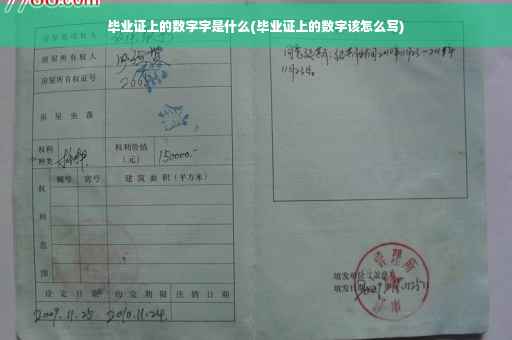 毕业证上的数字字是什么(毕业证上的数字该怎么写)
