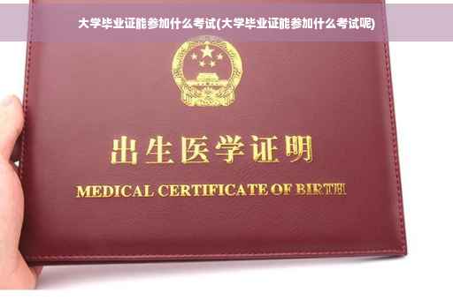 大学毕业证能参加什么考试(大学毕业证能参加什么考试呢)