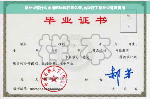 毕业证有什么要用的吗现在怎么查,高级技工毕业证有没有用