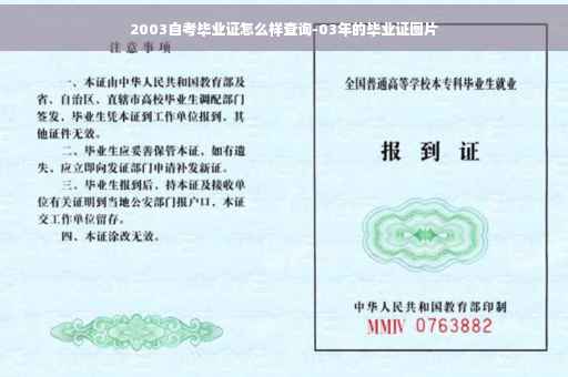 2003自考毕业证怎么样查询-03年的毕业证图片