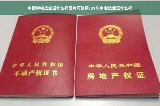中职学校毕业证什么样图片可以用,01年中专毕业证什么样