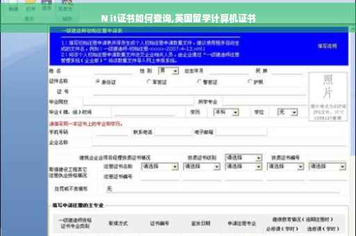 N it证书如何查询,英国留学计算机证书