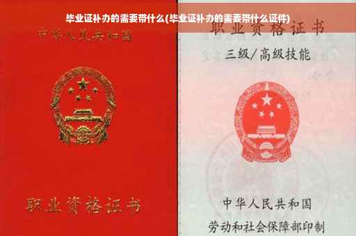 毕业证补办的需要带什么(毕业证补办的需要带什么证件)