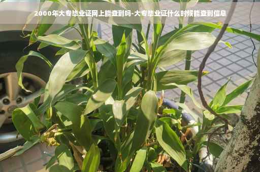 2000年大专毕业证网上能查到吗-大专毕业证什么时候能查到信息