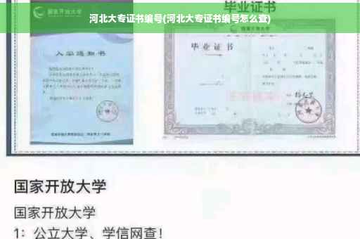 河北大专证书编号(河北大专证书编号怎么查)
