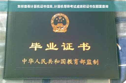 怎样查看计算机证书信息,计算机等级考试成绩和证书在那里查询