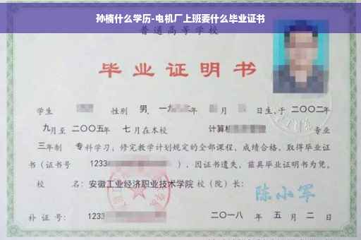 孙楠什么学历-电机厂上班要什么毕业证书
