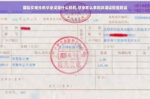 国际交换生的毕业证是什么样的,毕业怎么拿到派遣证和报到证
