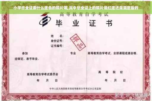 小学毕业证要什么底色的照片呢,高中毕业证上的照片是红底还是蓝底版的