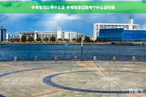 中专生可以考什么证-中专毕业证能考个什么证书呢