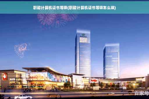 职称计算机证书等级(职称计算机证书等级怎么填)