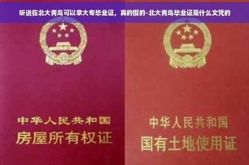 听说在北大青鸟可以拿大专毕业证，真的假的-北大青鸟毕业证是什么文凭的