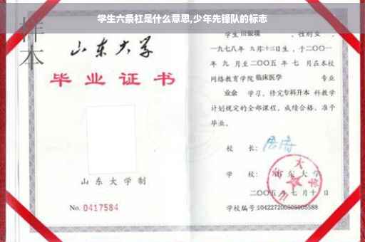 学生六条杠是什么意思,少年先锋队的标志