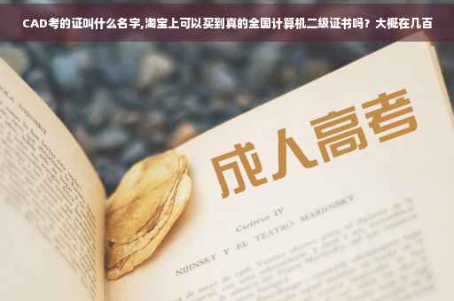 CAD考的证叫什么名字,淘宝上可以买到真的全国计算机二级证书吗？大概在几百