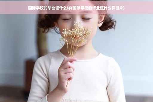 国际学校的毕业证什么样(国际学校的毕业证什么样图片)